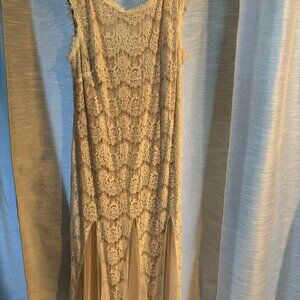 Betsy Adams Plus Size 22W Lace Formal Gown Champagne